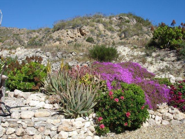 Almond Reef Casa Rural Los Alias Номер фото